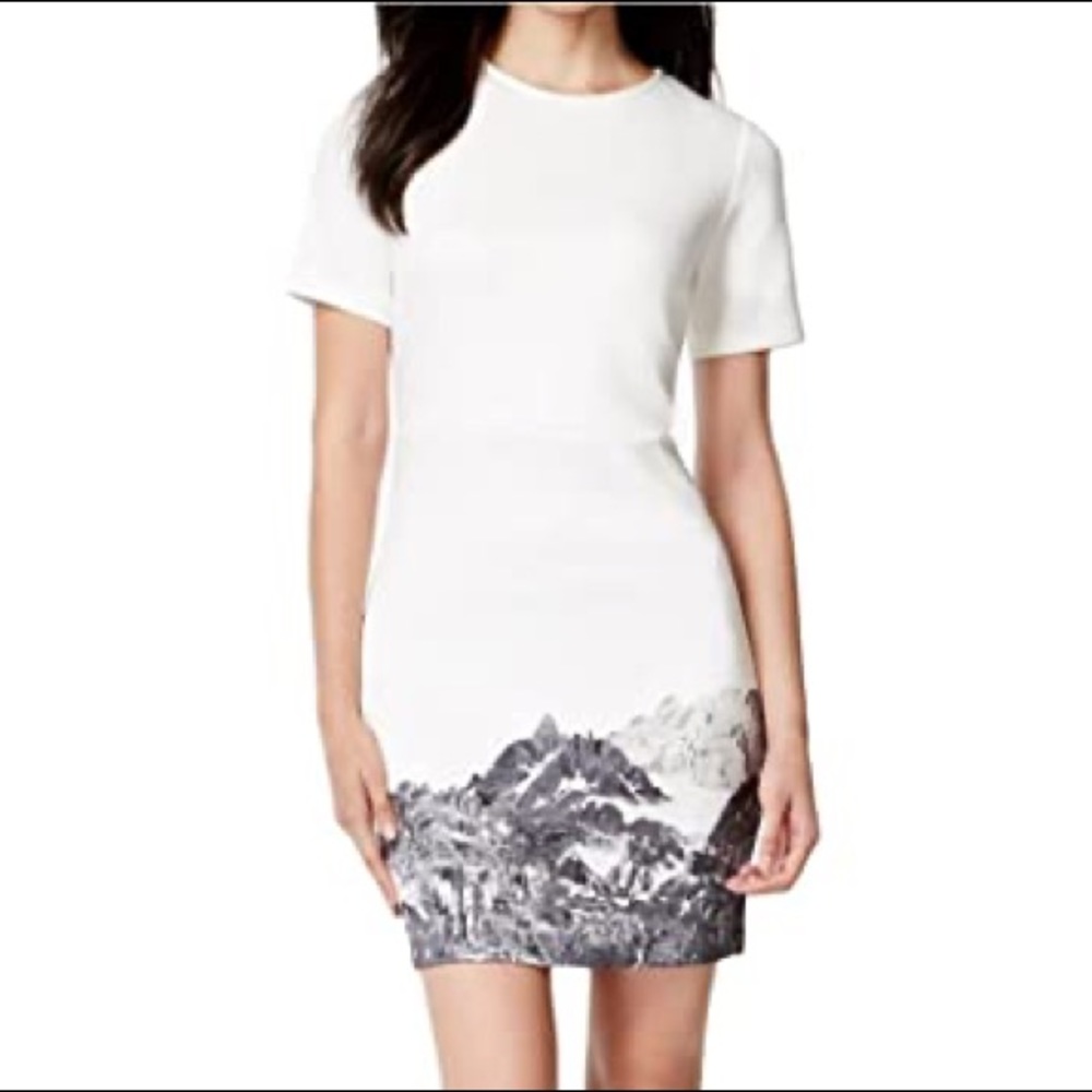 Kensie Women’s Mountain Scape Printed Short Sleeve Dress - Ivory - L